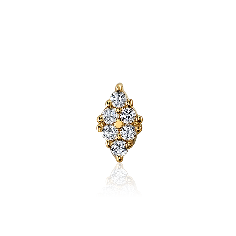 Oasis 6 Pin /YG