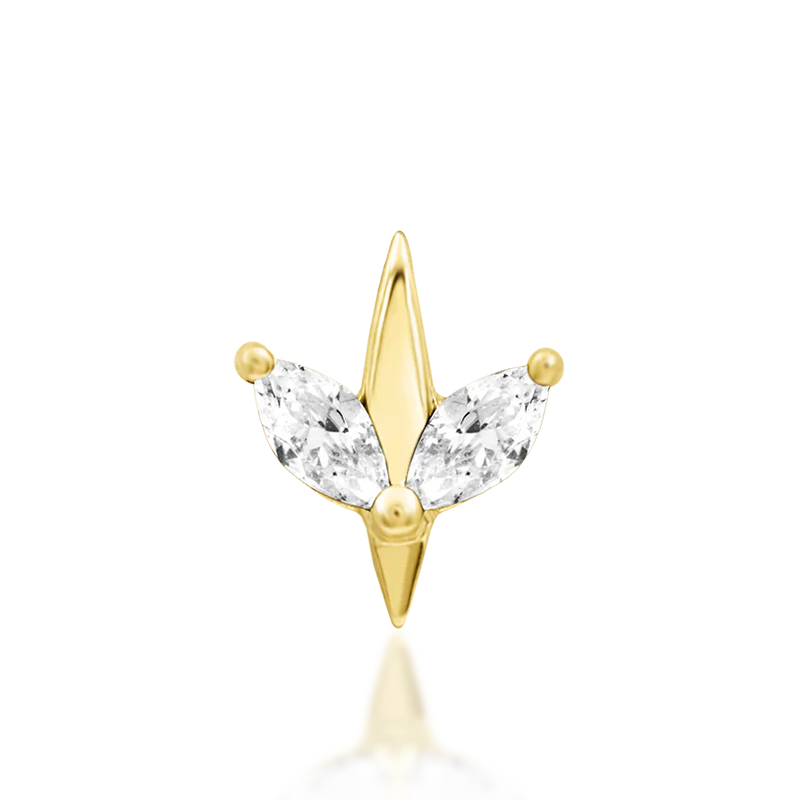 Lucienne CZ /YG