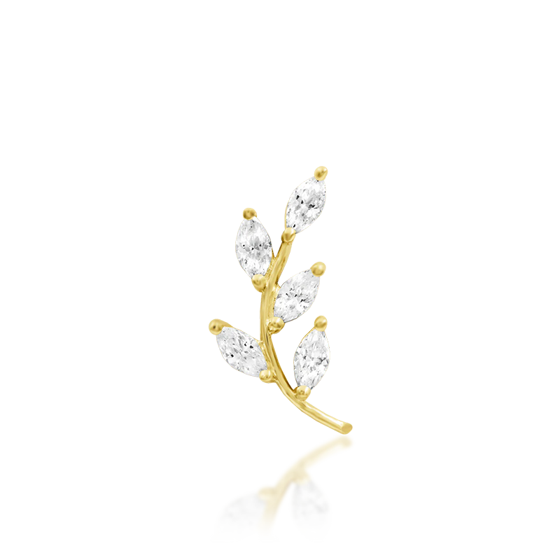 Vedia CZ /YG