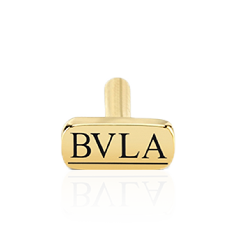 BVLA Threaded Labret Post /YG