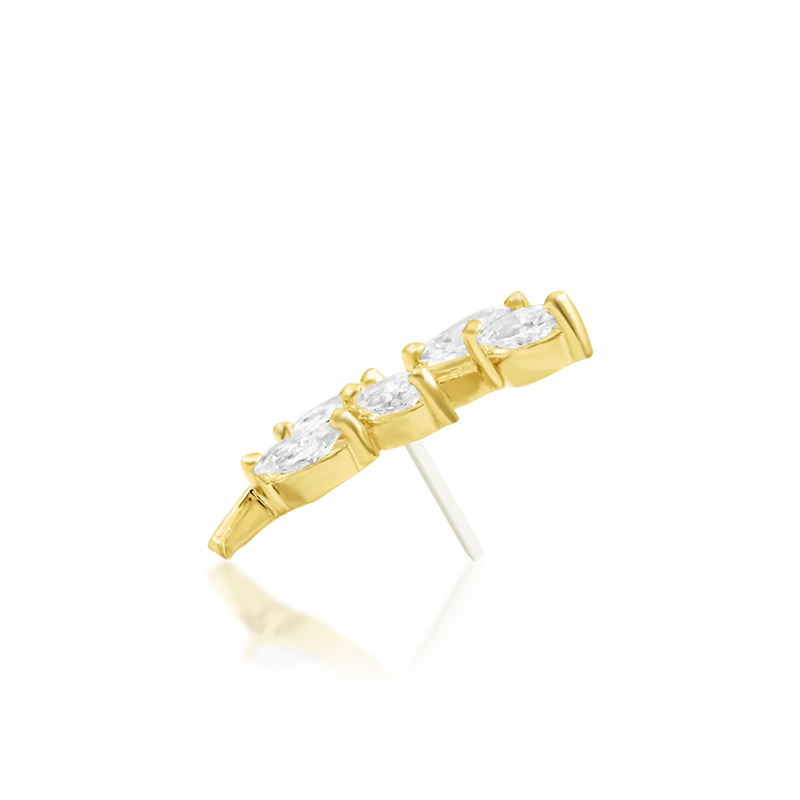 Vedia CZ /YG