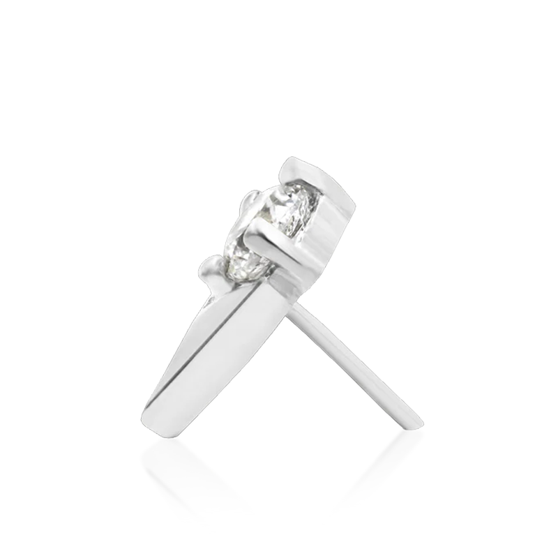 Tulip CZ /WG