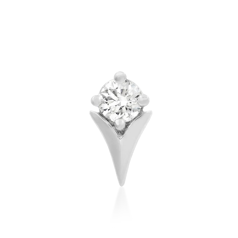 Tulip CZ /WG