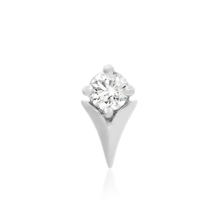 Tulip CZ /WG