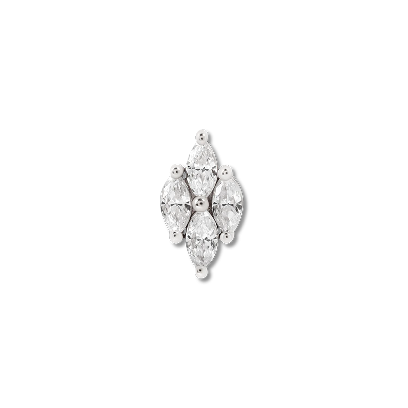 Dream On CZ /WG