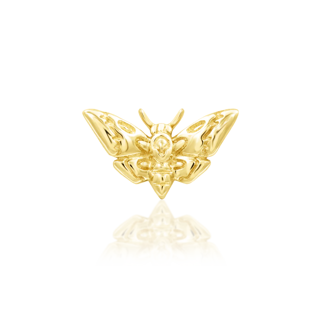 Deaths-Head Moth /YG